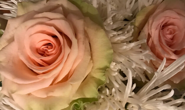 A Floral Winter Ode